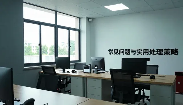 系统集成在不同地区的使用与维护策略分析